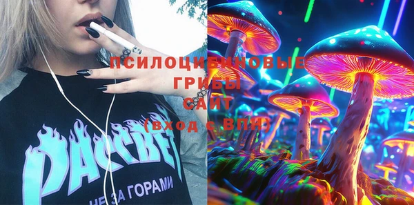шишки Алексеевка