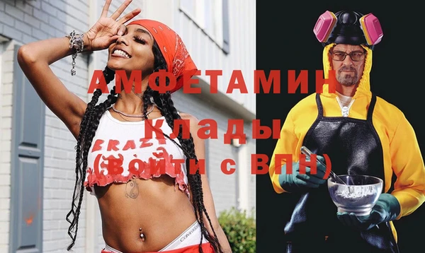 шишки Армянск