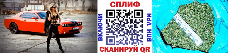 Канабис сатива Артёмовск